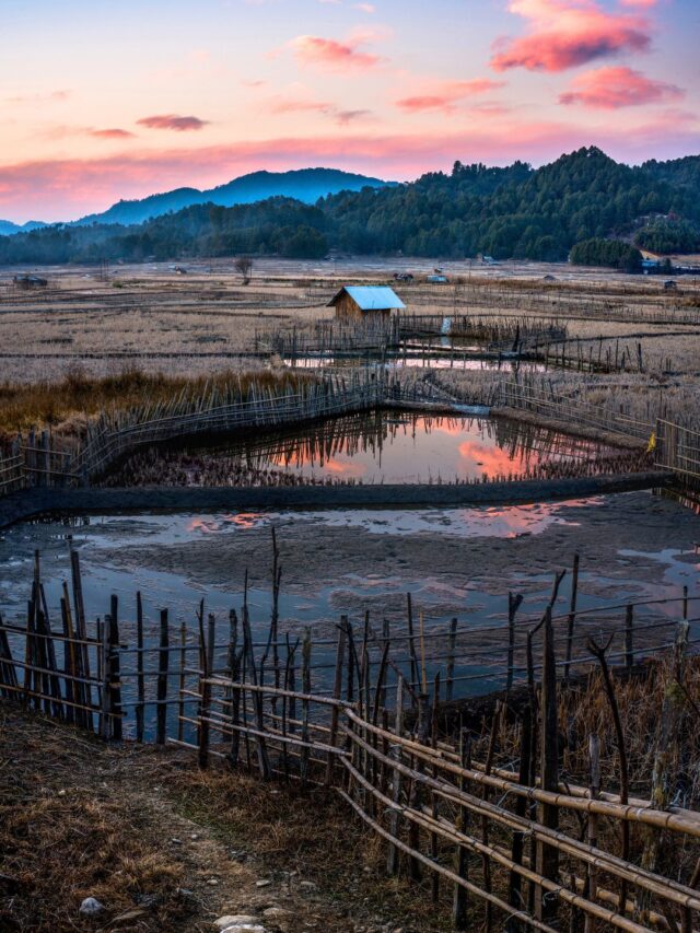 Places to visit in Ziro Valley, Arunachal Pradesh