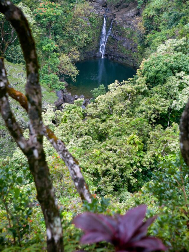 15 Spellbinding Maui Waterfalls That Inspire Wonder